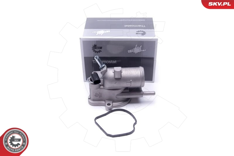 Thermostat, coolant